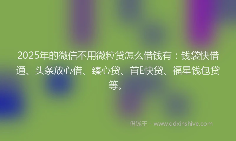 2025年的微信不用微粒贷怎么借钱有：钱袋快借通、头条放心借、臻心贷、首E快贷、福星钱包贷等。