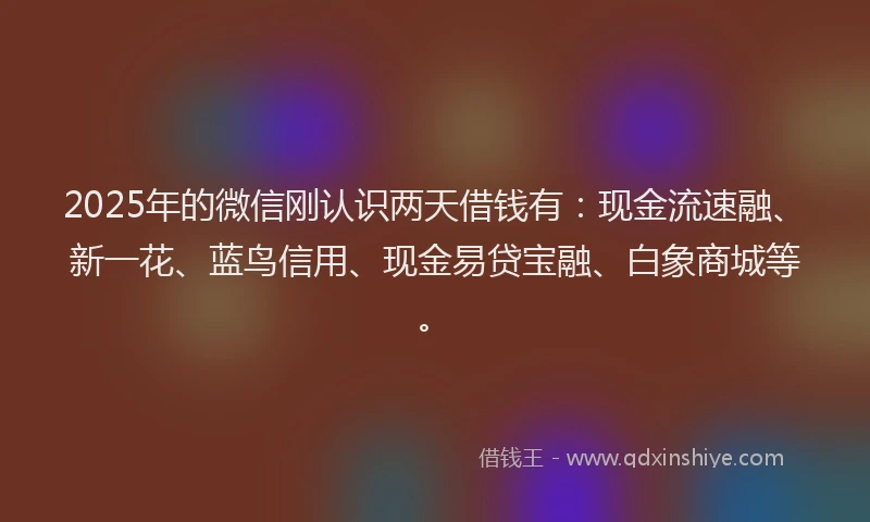 2025年的微信刚认识两天借钱有：现金流速融、新一花、蓝鸟信用、现金易贷宝融、白象商城等。