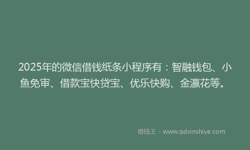 2025年的微信借钱纸条小程序有：智融钱包、小鱼免审、借款宝快贷宝、优乐快购、金瀛花等。