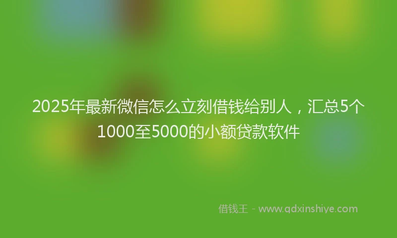 2025年最新微信怎么立刻借钱给别人，汇总5个1000至5000的小额贷款软件