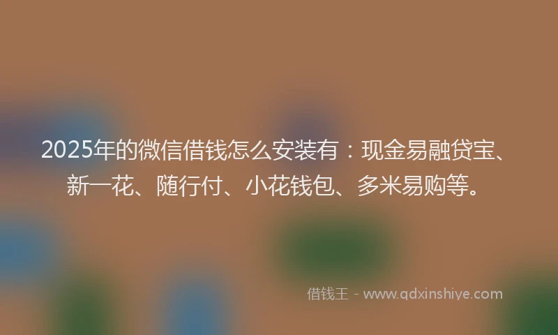 2025年的微信借钱怎么安装有：现金易融贷宝、新一花、随行付、小花钱包、多米易购等。