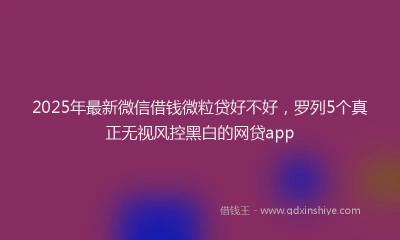 2025年最新微信借钱微粒贷好不好，罗列5个真正无视风控黑白的网贷app