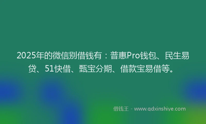 2025年的微信别借钱有：普惠Pro钱包、民生易贷、51快借、甄宝分期、借款宝易借等。