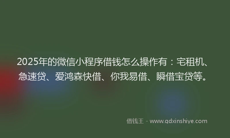 2025年的微信小程序借钱怎么操作有：宅租机、急速贷、爱鸿森快借、你我易借、瞬借宝贷等。