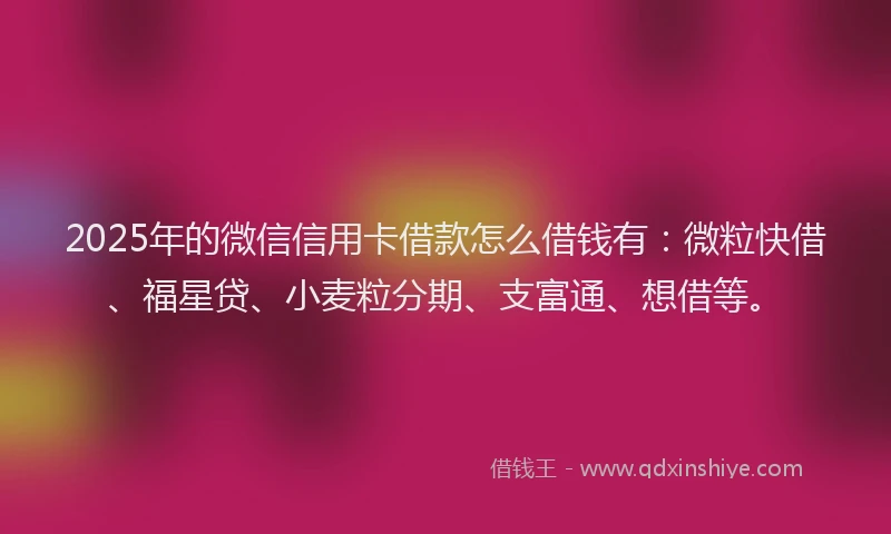 2025年的微信信用卡借款怎么借钱有：微粒快借、福星贷、小麦粒分期、支富通、想借等。