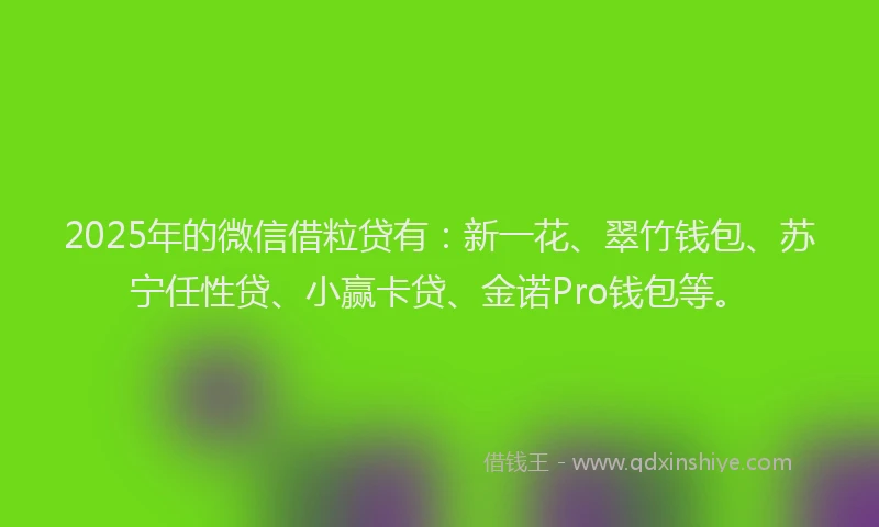 2025年的微信借粒贷有：新一花、翠竹钱包、苏宁任性贷、小赢卡贷、金诺Pro钱包等。