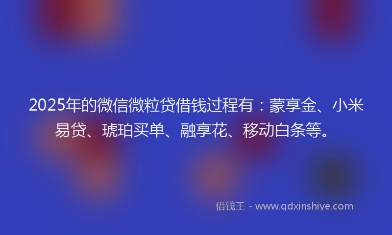 2025年的微信微粒贷借钱过程有：蒙享金、小米易贷、琥珀买单、融享花、移动白条等。