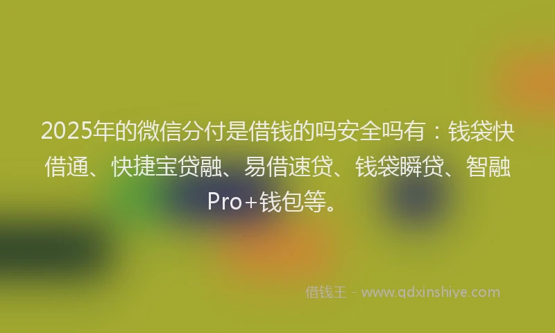 2025年的微信分付是借钱的吗安全吗有：钱袋快借通、快捷宝贷融、易借速贷、钱袋瞬贷、智融Pro+钱包等。
