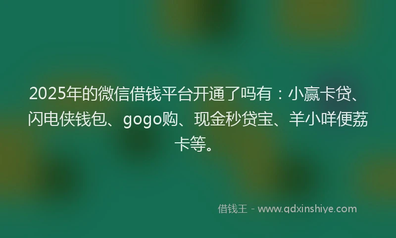 2025年的微信借钱平台开通了吗有:小赢卡贷、闪电侠钱包、gogo购、现金秒贷宝、羊小咩便荔卡等。