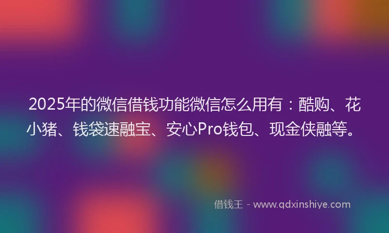 2025年的微信借钱功能微信怎么用有：酷购、花小猪、钱袋速融宝、安心Pro钱包、现金侠融等。