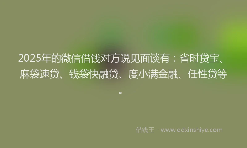 2025年的微信借钱对方说见面谈有：省时贷宝、麻袋速贷、钱袋快融贷、度小满金融、任性贷等。