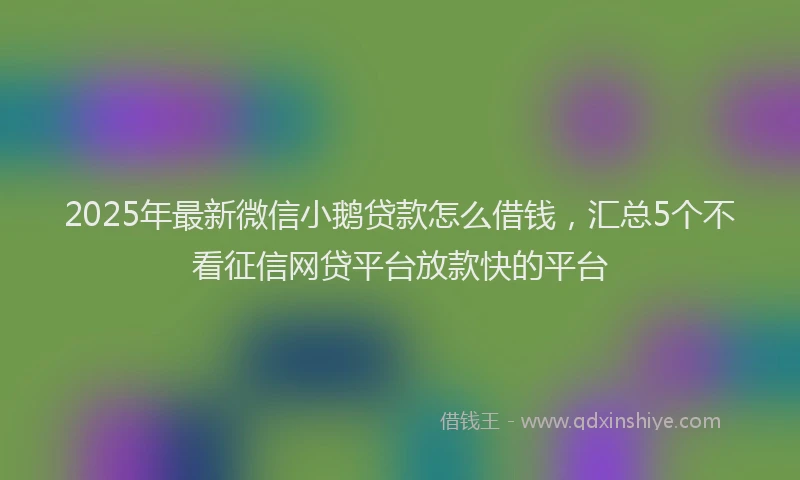 2025年最新微信小鹅贷款怎么借钱，汇总5个不看征信网贷平台放款快的平台