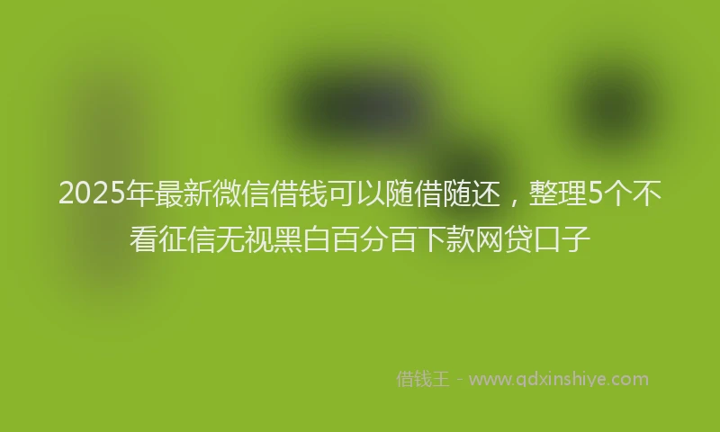 2025年最新微信借钱可以随借随还，整理5个不看征信无视黑白百分百下款网贷口子