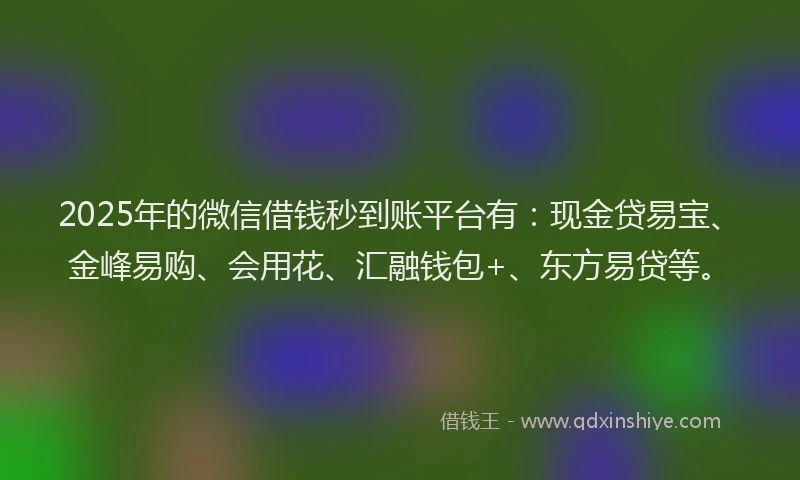 2025年的微信借钱秒到账平台有：现金贷易宝、金峰易购、会用花、汇融钱包+、东方易贷等。