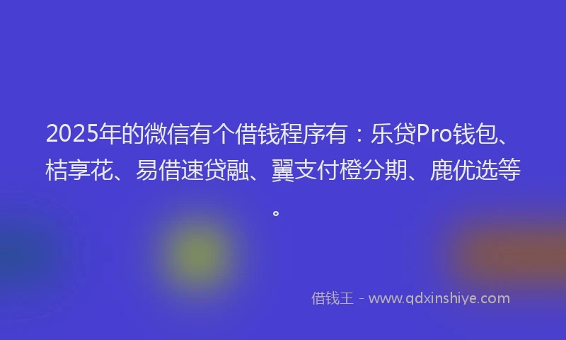 2025年的微信有个借钱程序有：乐贷Pro钱包、桔享花、易借速贷融、翼支付橙分期、鹿优选等。