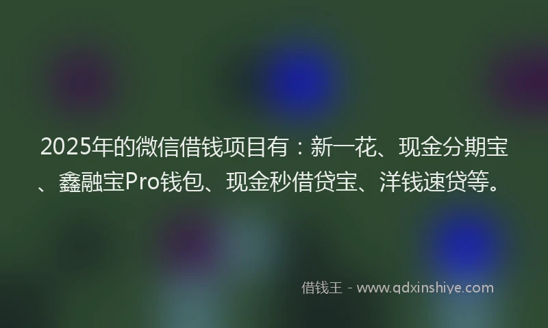 2025年的微信借钱项目有：新一花、现金分期宝、鑫融宝Pro钱包、现金秒借贷宝、洋钱速贷等。