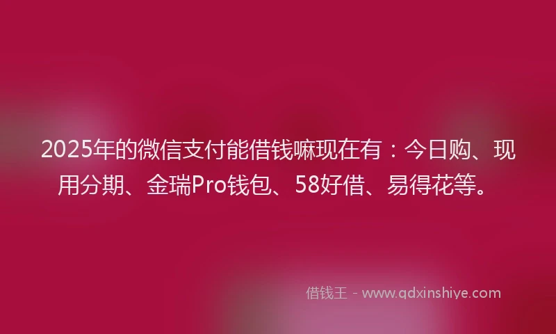 2025年的微信支付能借钱嘛现在有：今日购、现用分期、金瑞Pro钱包、58好借、易得花等。