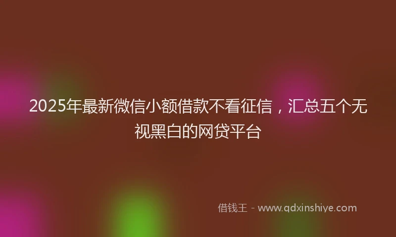 2025年最新微信小额借款不看征信，汇总五个无视黑白的网贷平台
