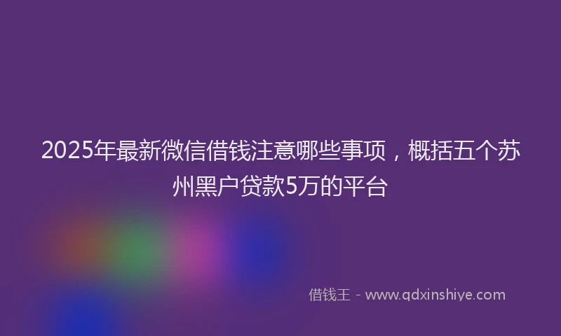 2025年最新微信借钱注意哪些事项，概括五个苏州黑户贷款5万的平台