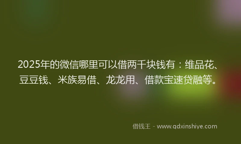 2025年的微信哪里可以借两千块钱有：维品花、豆豆钱、米族易借、龙龙用、借款宝速贷融等。
