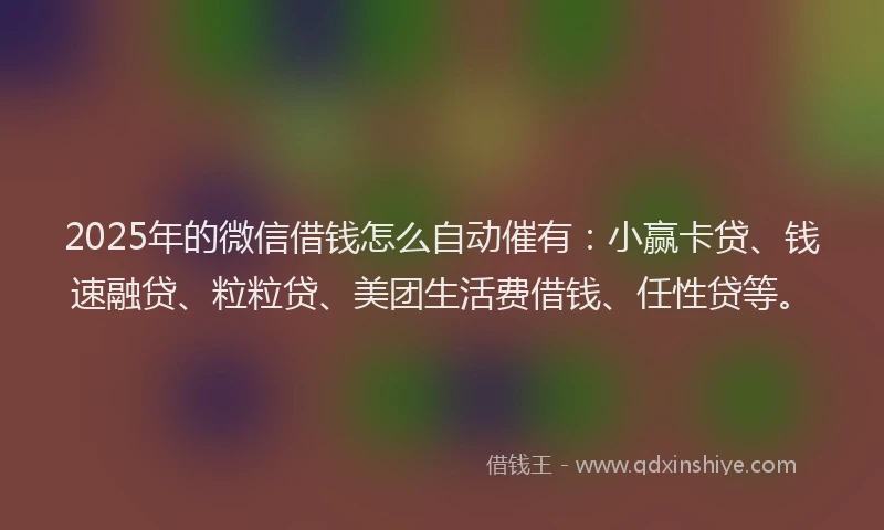 2025年的微信借钱怎么自动催有：小赢卡贷、钱速融贷、粒粒贷、美团生活费借钱、任性贷等。