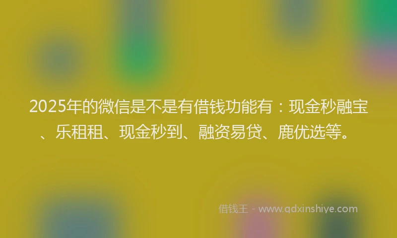 2025年的微信是不是有借钱功能有：现金秒融宝、乐租租、现金秒到、融资易贷、鹿优选等。