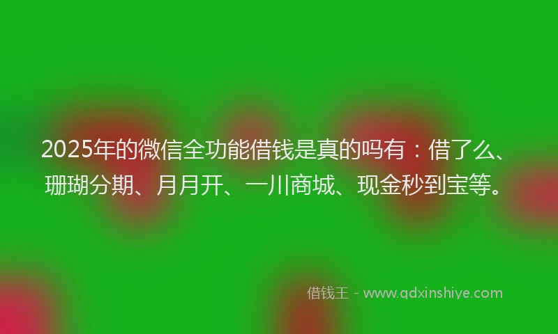2025年的微信全功能借钱是真的吗有：借了么、珊瑚分期、月月开、一川商城、现金秒到宝等。