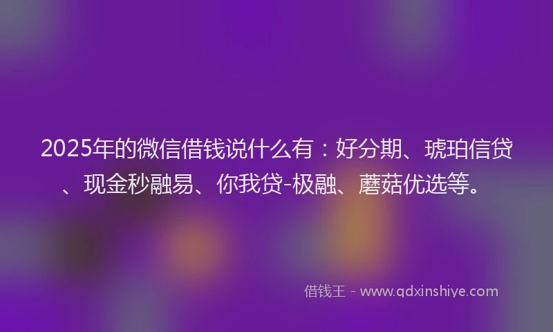 2025年的微信借钱说什么有：好分期、琥珀信贷、现金秒融易、你我贷-极融、蘑菇优选等。