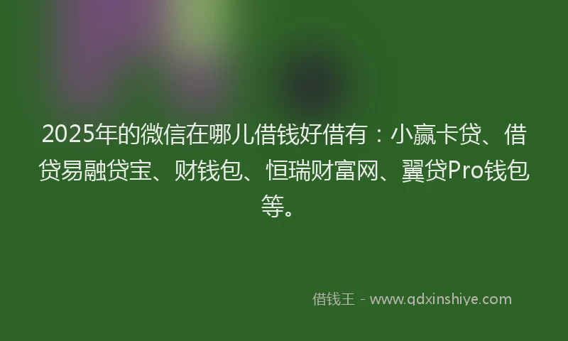 2025年的微信在哪儿借钱好借有：小赢卡贷、借贷易融贷宝、财钱包、恒瑞财富网、翼贷Pro钱包等。