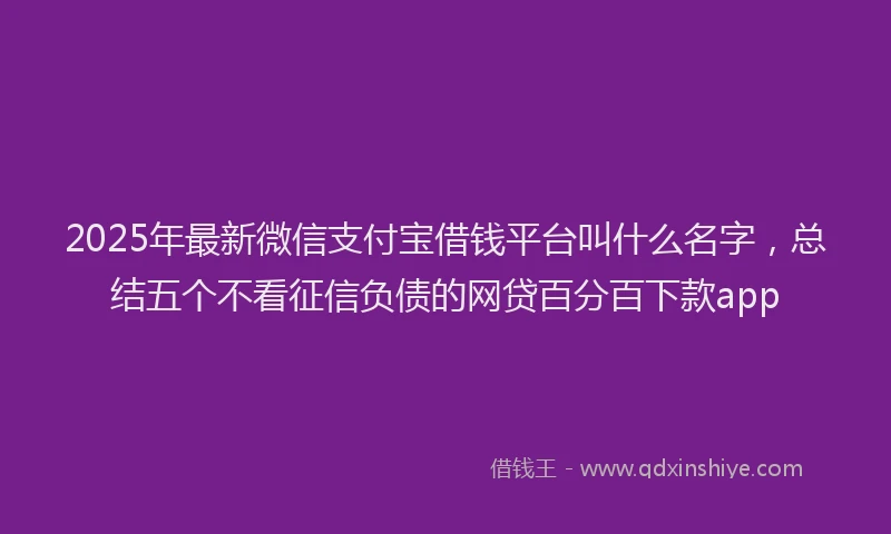 2025年最新微信支付宝借钱平台叫什么名字，总结五个不看征信负债的网贷百分百下款app