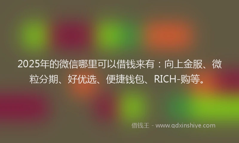 2025年的微信哪里可以借钱来有：向上金服、微粒分期、好优选、便捷钱包、RICH-购等。