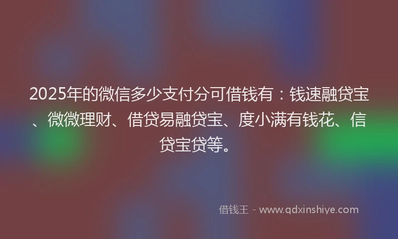 2025年的微信多少支付分可借钱有：钱速融贷宝、微微理财、借贷易融贷宝、度小满有钱花、信贷宝贷等。