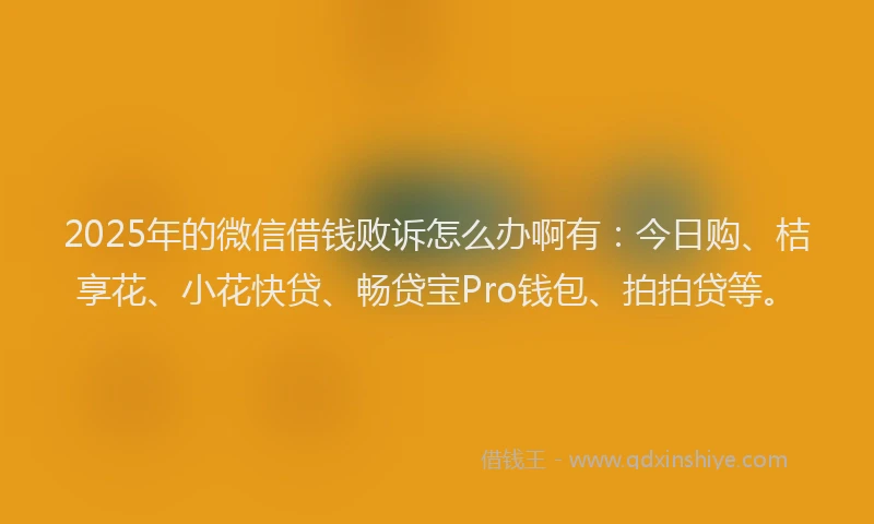 2025年的微信借钱败诉怎么办啊有：今日购、桔享花、小花快贷、畅贷宝Pro钱包、拍拍贷等。