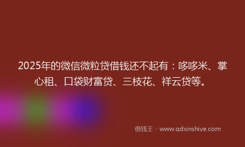 2025年的微信微粒贷借钱还不起有：哆哆米、掌心租、口袋财富贷、三枝花、祥云贷等。