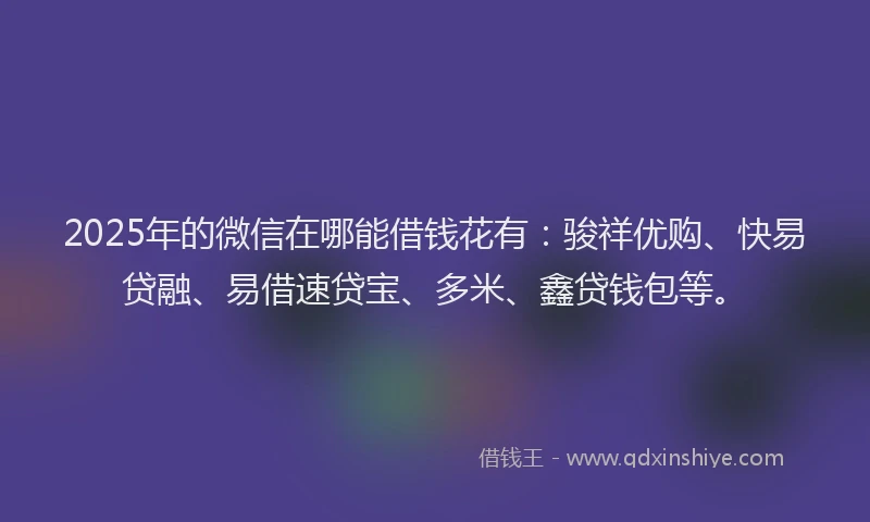 2025年的微信在哪能借钱花有:骏祥优购、快易贷融、易借速贷宝、多米、鑫贷钱包等。