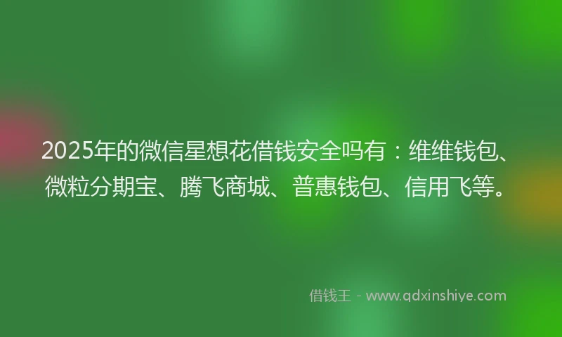 2025年的微信星想花借钱安全吗有：维维钱包、微粒分期宝、腾飞商城、普惠钱包、信用飞等。