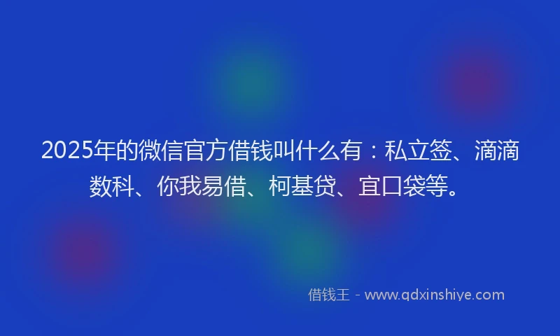 2025年的微信官方借钱叫什么有：私立签、滴滴数科、你我易借、柯基贷、宜口袋等。