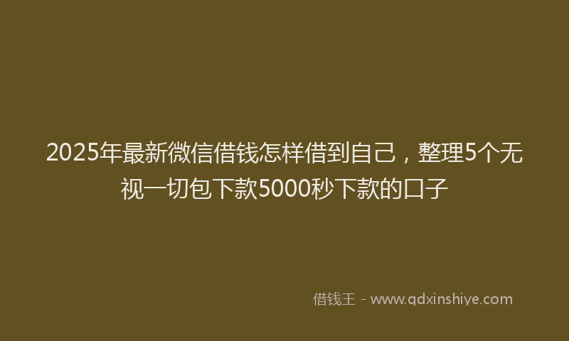 2025年最新微信借钱怎样借到自己，整理5个无视一切包下款5000秒下款的口子