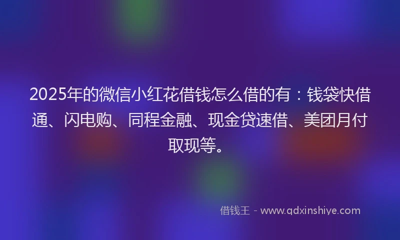 2025年的微信小红花借钱怎么借的有：钱袋快借通、闪电购、同程金融、现金贷速借、美团月付取现等。