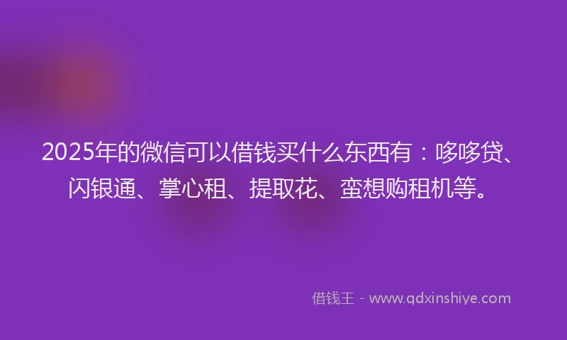 2025年的微信可以借钱买什么东西有：哆哆贷、闪银通、掌心租、提取花、蛮想购租机等。