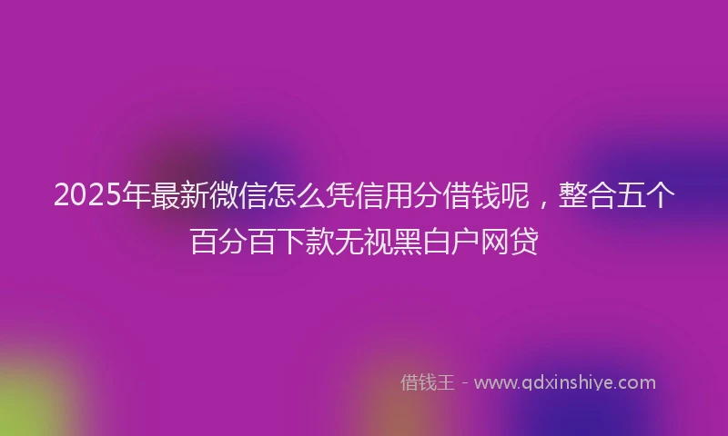 2025年最新微信怎么凭信用分借钱呢，整合五个百分百下款无视黑白户网贷