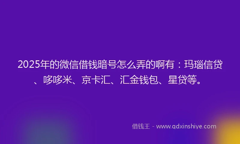 2025年的微信借钱暗号怎么弄的啊有：玛瑙信贷、哆哆米、京卡汇、汇金钱包、星贷等。