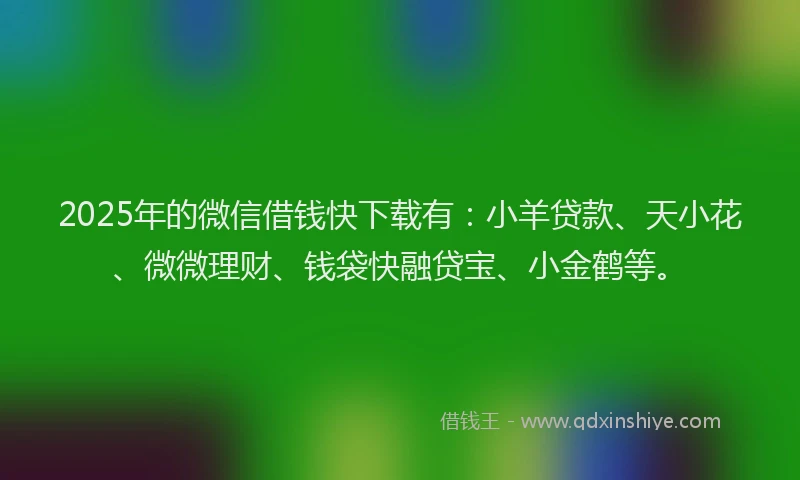 2025年的微信借钱快下载有：小羊贷款、天小花、微微理财、钱袋快融贷宝、小金鹤等。