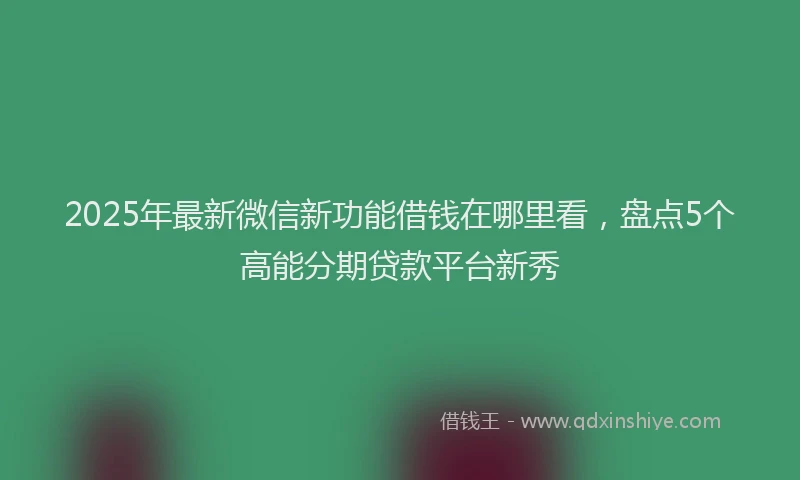 2025年最新微信新功能借钱在哪里看，盘点5个高能分期贷款平台新秀