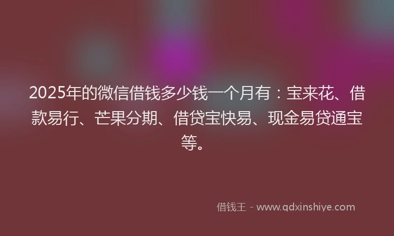 2025年的微信借钱多少钱一个月有：宝来花、借款易行、芒果分期、借贷宝快易、现金易贷通宝等。