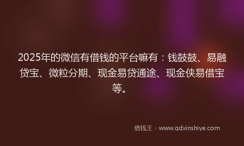 2025年的微信有借钱的平台嘛有：钱鼓鼓、易融贷宝、微粒分期、现金易贷通途、现金侠易借宝等。