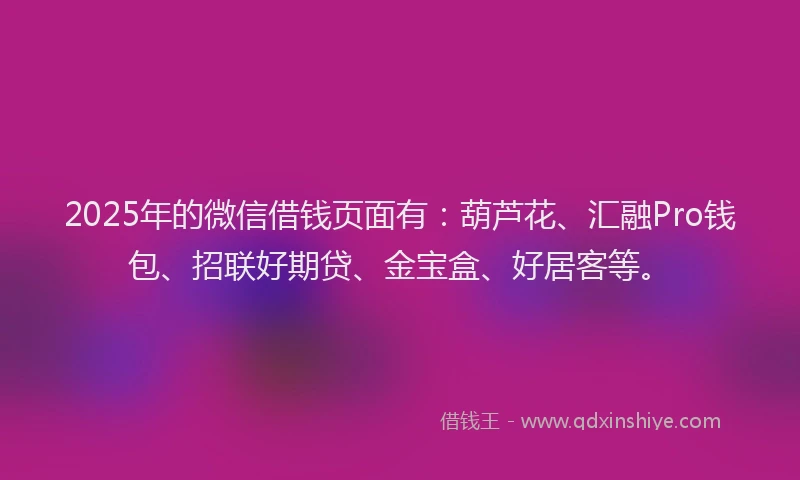 2025年的微信借钱页面有：葫芦花、汇融Pro钱包、招联好期贷、金宝盒、好居客等。