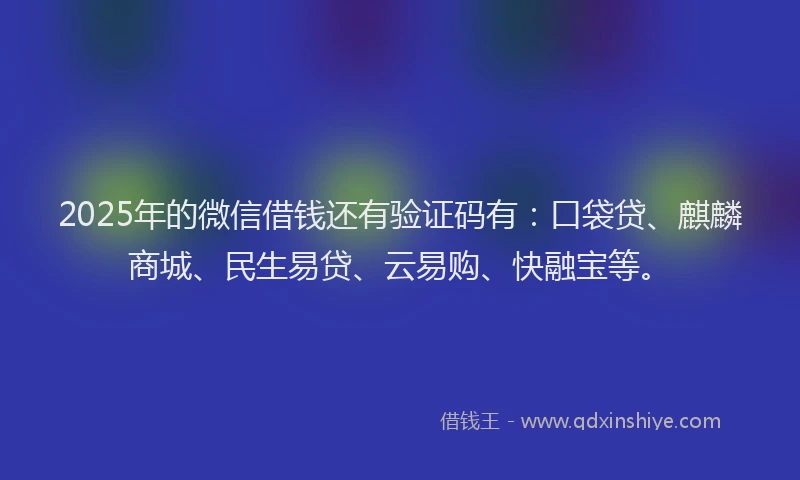 2025年的微信借钱还有验证码有：口袋贷、麒麟商城、民生易贷、云易购、快融宝等。