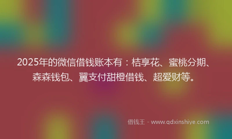 2025年的微信借钱账本有：桔享花、蜜桃分期、森森钱包、翼支付甜橙借钱、超爱财等。
