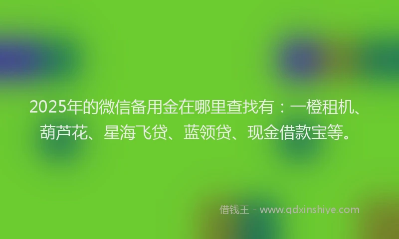2025年的微信备用金在哪里查找有：一橙租机、葫芦花、星海飞贷、蓝领贷、现金借款宝等。